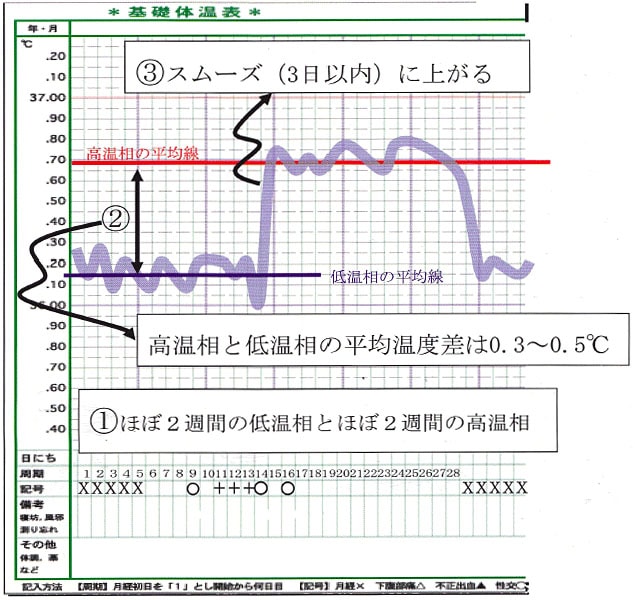 正常なBBT