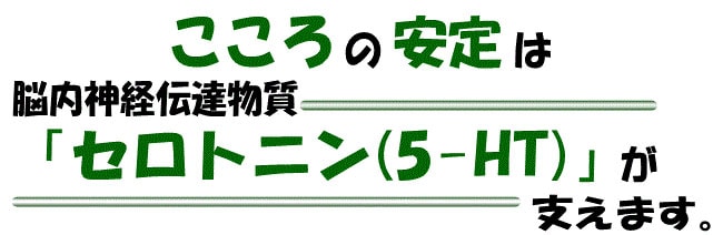 こころの安定は脳内神経伝達物質「セロトニン（5-HT）が支えます。