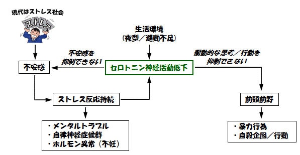 ストレスとセロトニン神経