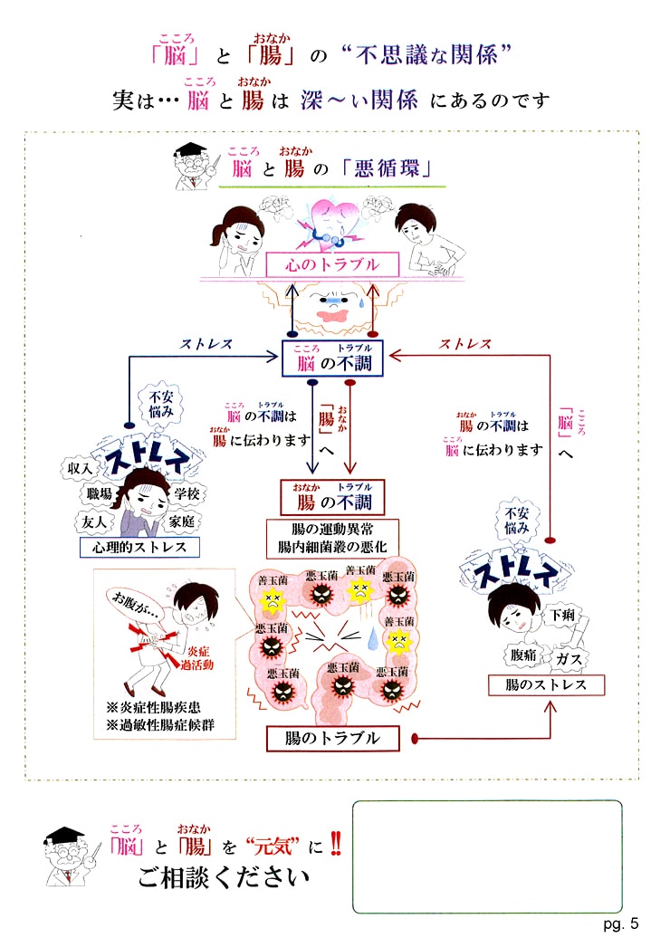 「脳」と「腸」の“不思議な関係” 実は・・・脳と腸は深～い関係にあるのです